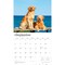 For the Love of Golden Retrievers | 2026 14 x 24 Inch (Hanging) Monthly Deluxe Wall Calendar | Foil Stamped Cover | Plastic-Free